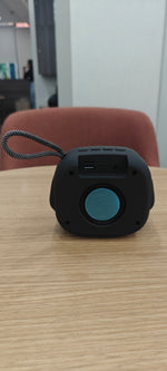 Load image into Gallery viewer, MS Star Raja Portable Speaker