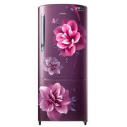 Samsung 183 L Direct Cool Single Door Refrigerator (RR20C2723CR/NL) - 3 Star