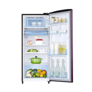 Samsung Ref 183 Ltr - 3 Star Floral Single Door-RR20H2723RZ/NL