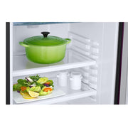 Samsung 183 L Direct Cool Single Door Refrigerator (RR20C2723CR/NL) - 3 Star