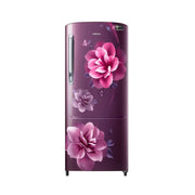 Samsung Ref 183 Ltr - 3 Star Floral Single Door-RR20H2723RZ/NL