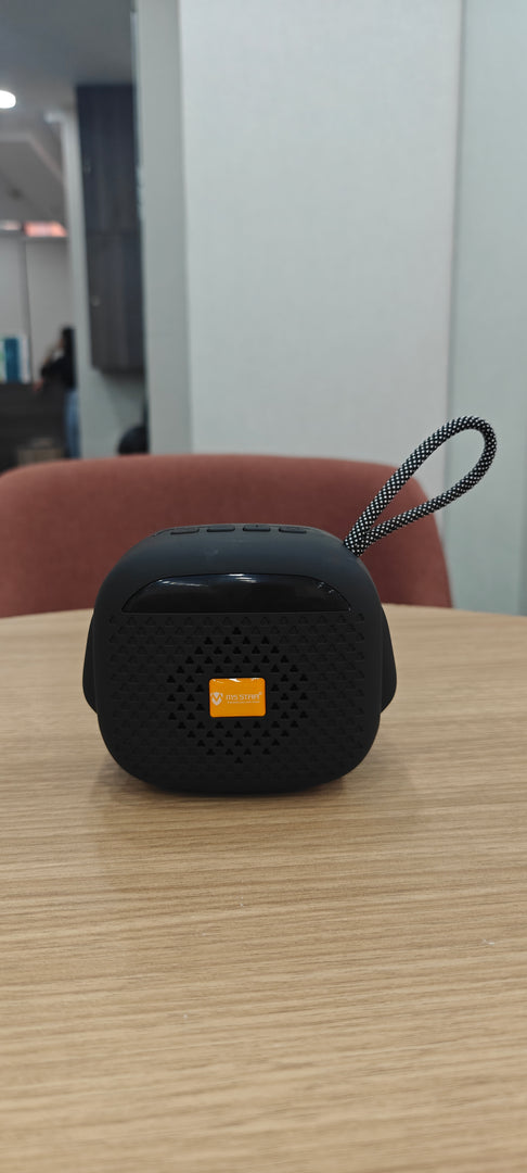 MS Star Raja Portable Speaker