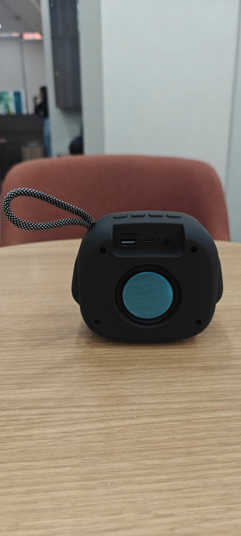 MS Star Raja Portable Speaker