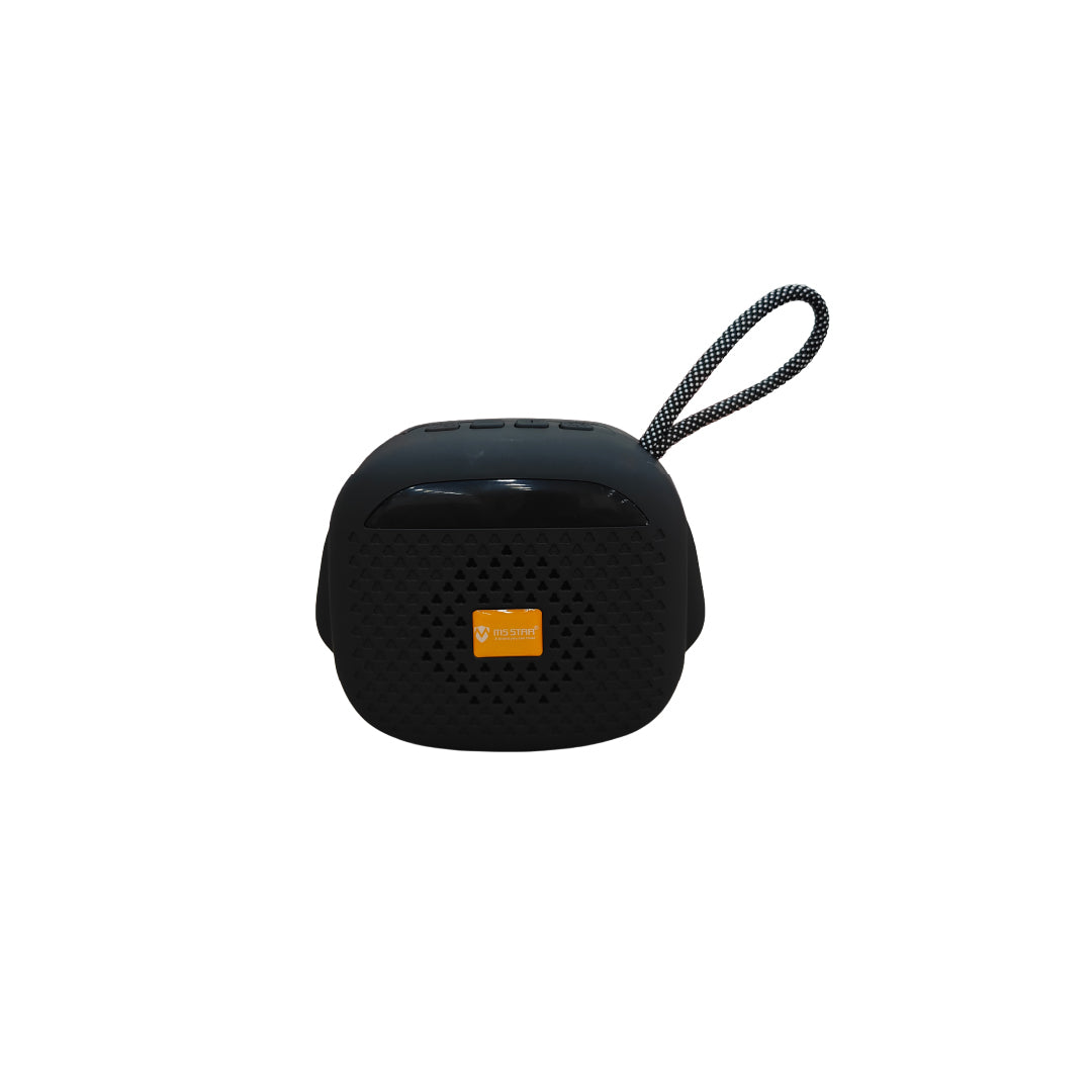 MS Star Raja Portable Speaker